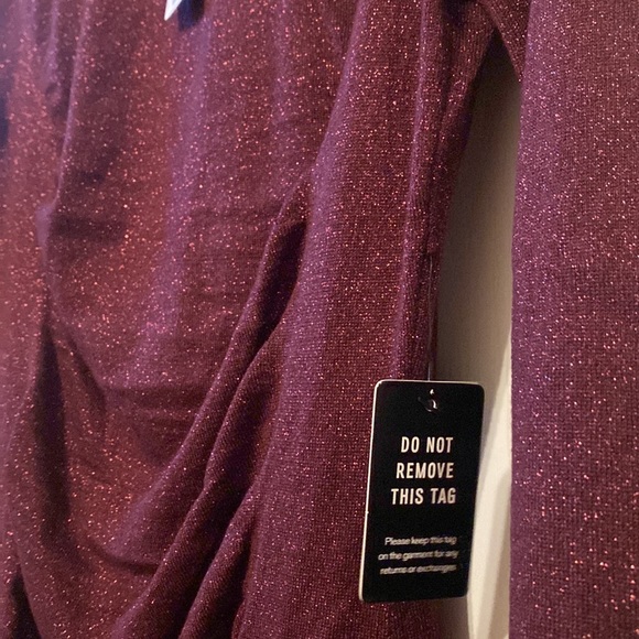 NWT- PLUM RUCHED GLITTER DRESS - Picture 12 of 13
